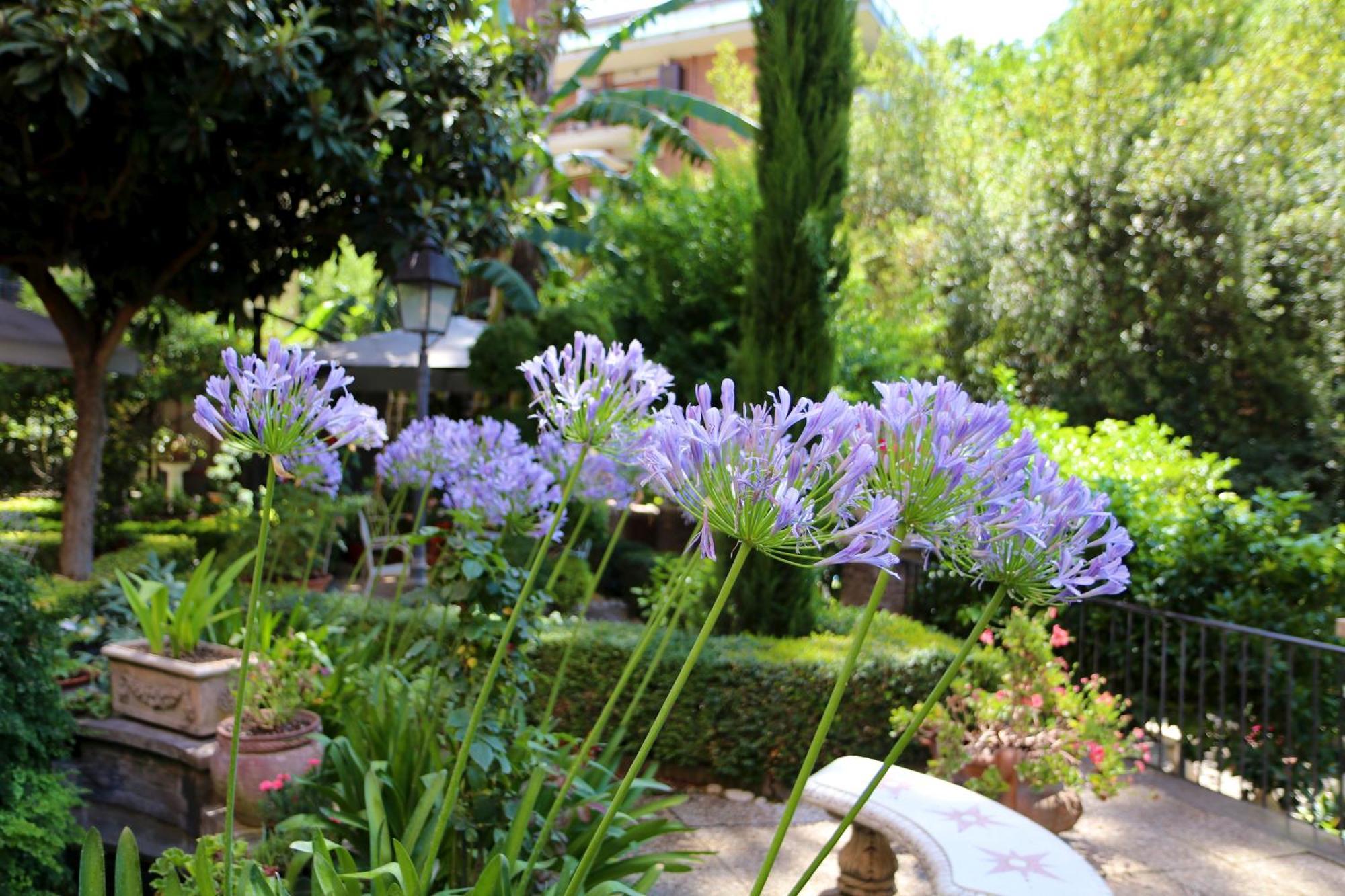 Villa Matissa Rom Exterior foto